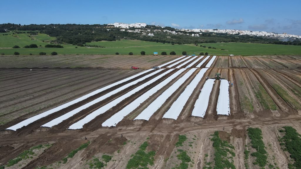 Colocación en campo de la malla bicapa antihierba Disaplint (foto 1)