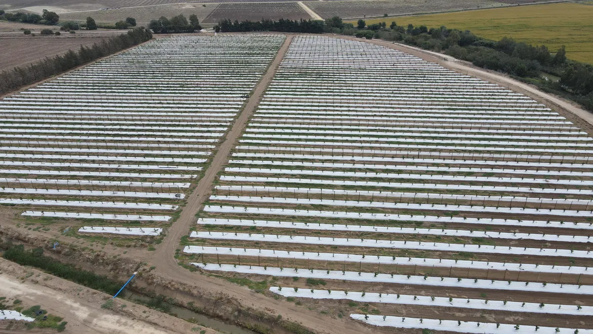 Malla antihierba bicapa colocada en una finca, vista aérea